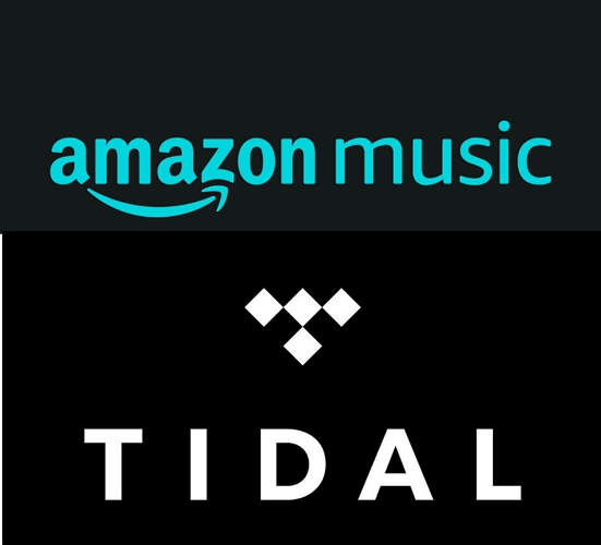 Tidal vs Amazon Music: Which One is Better?