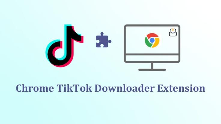 How to Save TitTok Video using Chrome Downloader Extensions