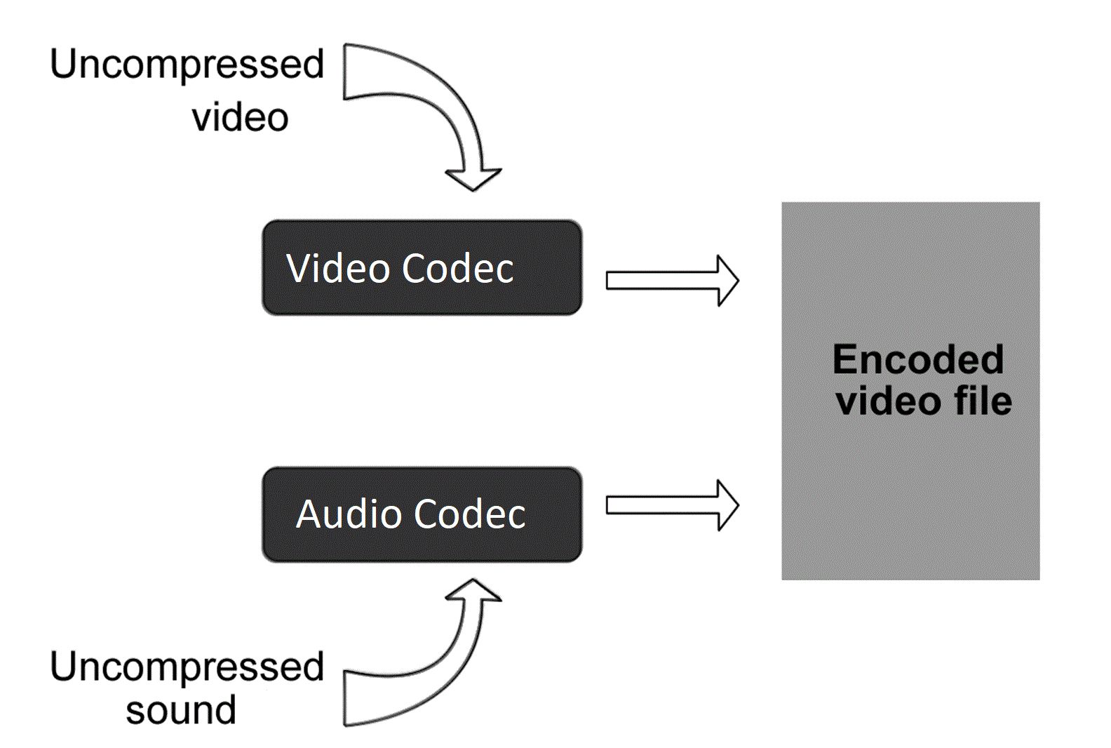 The Ultimate Guide of Checking Video Codec