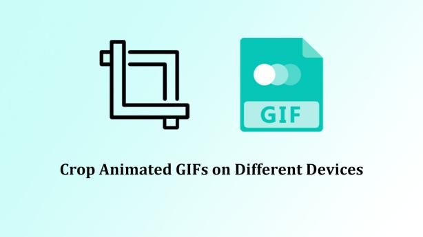 How to Crop A GIF: Detailed Guide for Different Devices