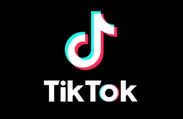 3 Easy Ways to Download All TikTok Videos of a User in Bulk