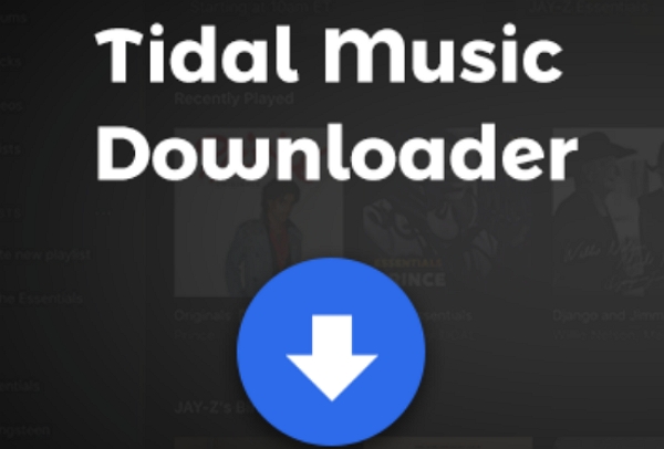 Tidal GUI and Tidal DL Review & Its Best Alternative