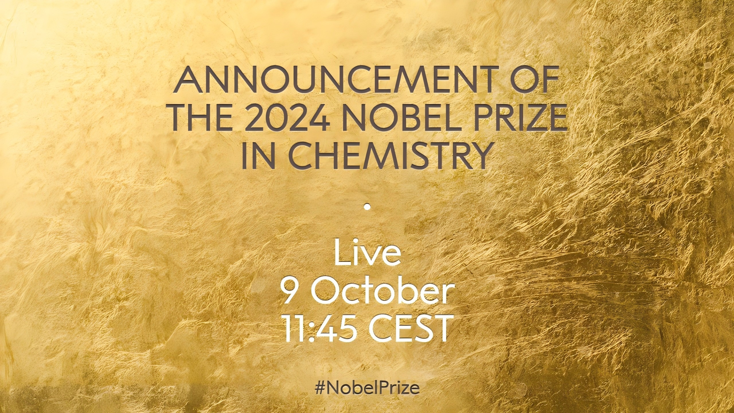 Know the Details of Nobel Prize 2024 Chemistry in 2024