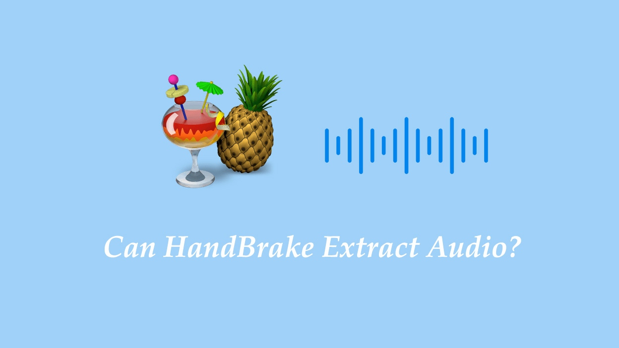 動画から音声を抽出する代替手段　5つの最高なHandBrake