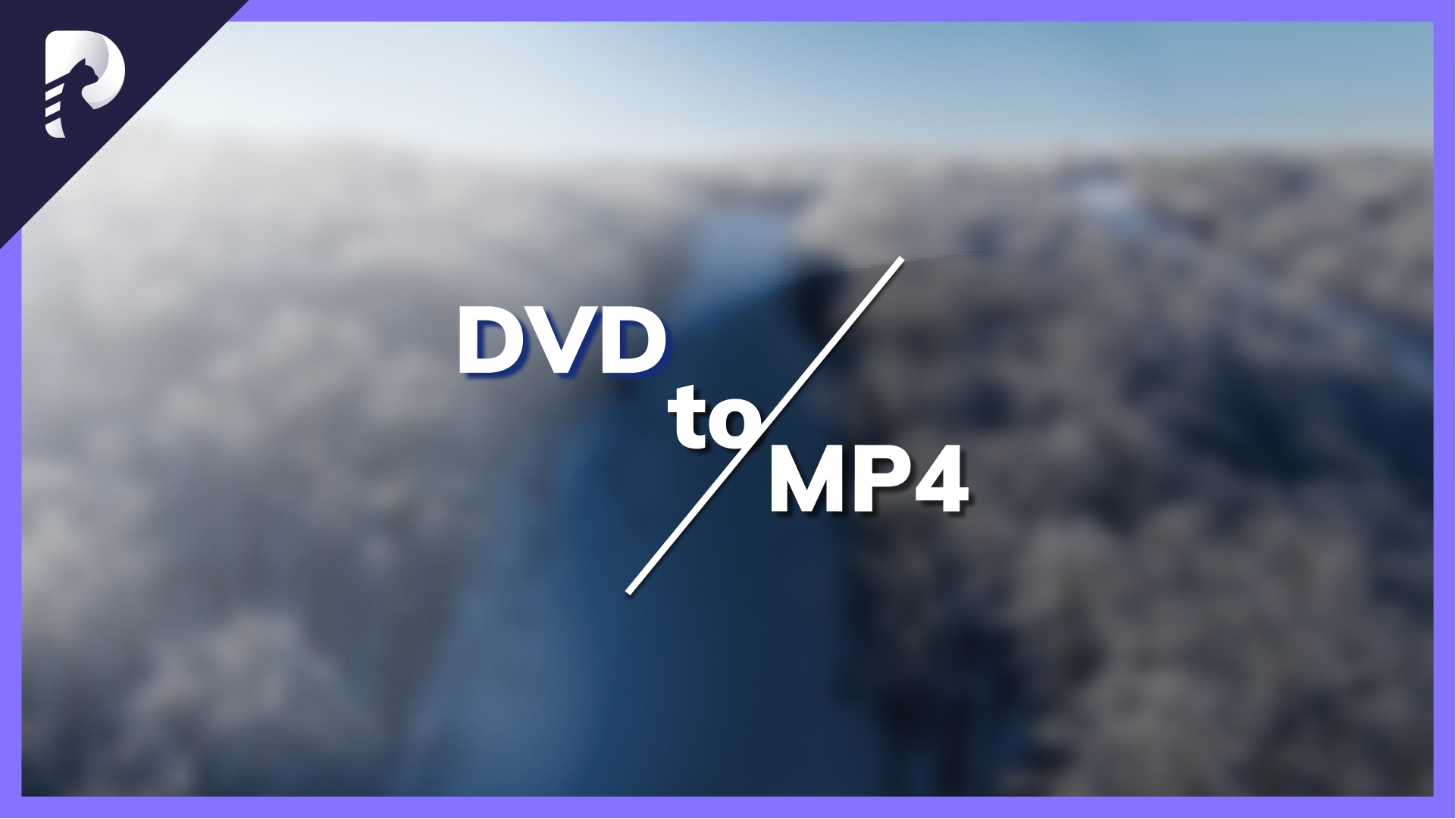 How to Convert DVD to MP4 Easily in Different Ways