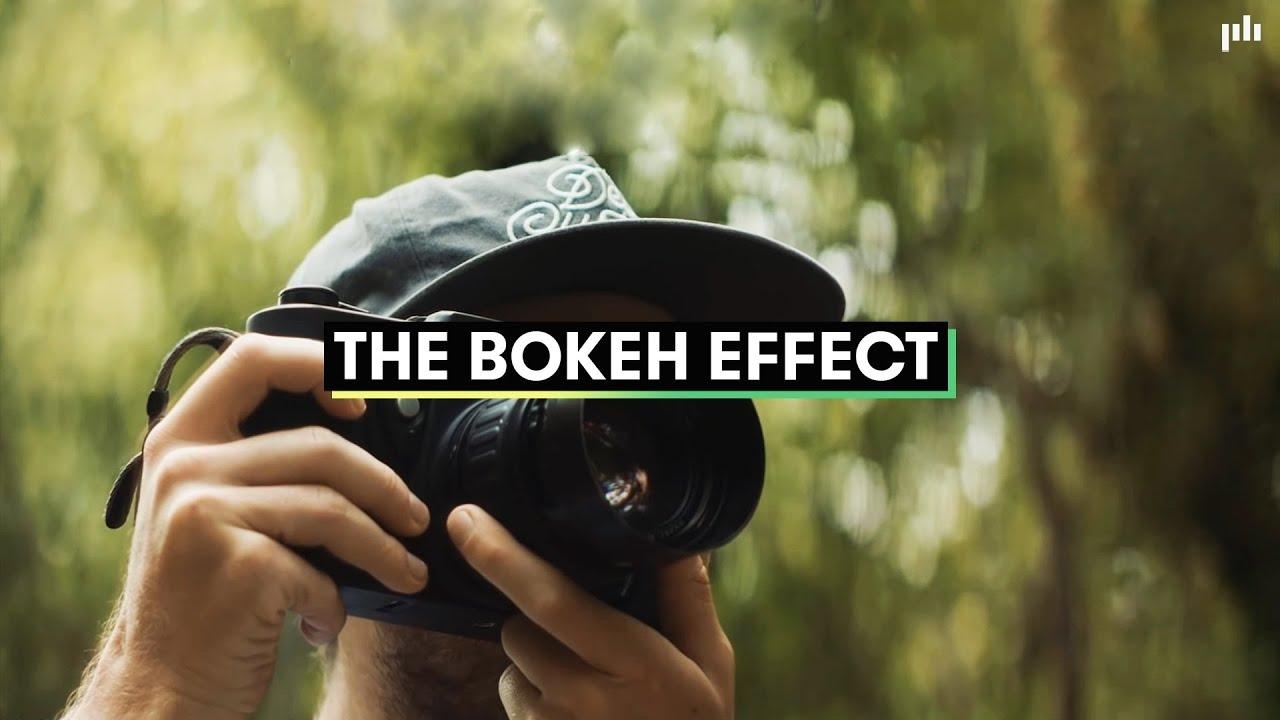 Bokeh Effect Guide: How to Capture or Add Bokeh Using Camera, Phone & AI