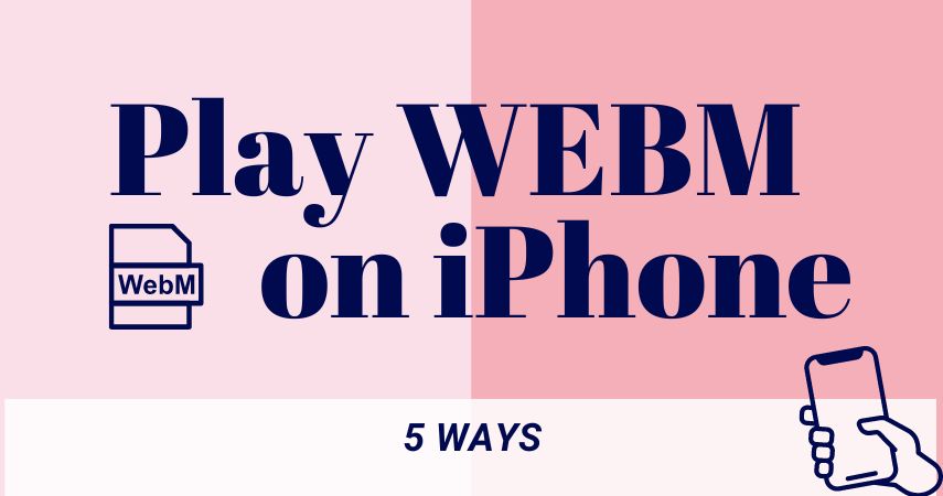 How to Play WEBM on iPhone in 5 Ways