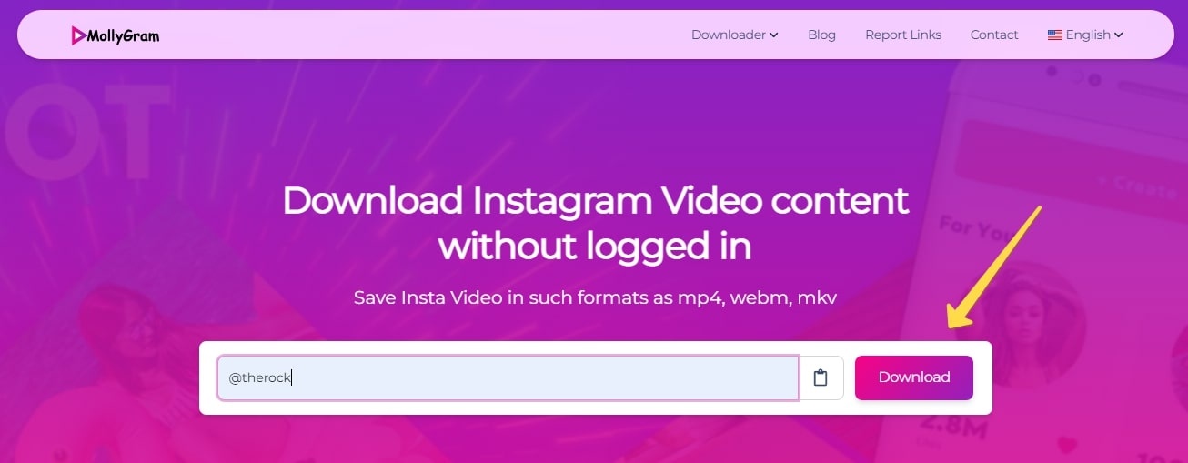 Mollygram 인스타그램 리뷰: 익명으로 보는 기능, 안전하고 쓸만할까?