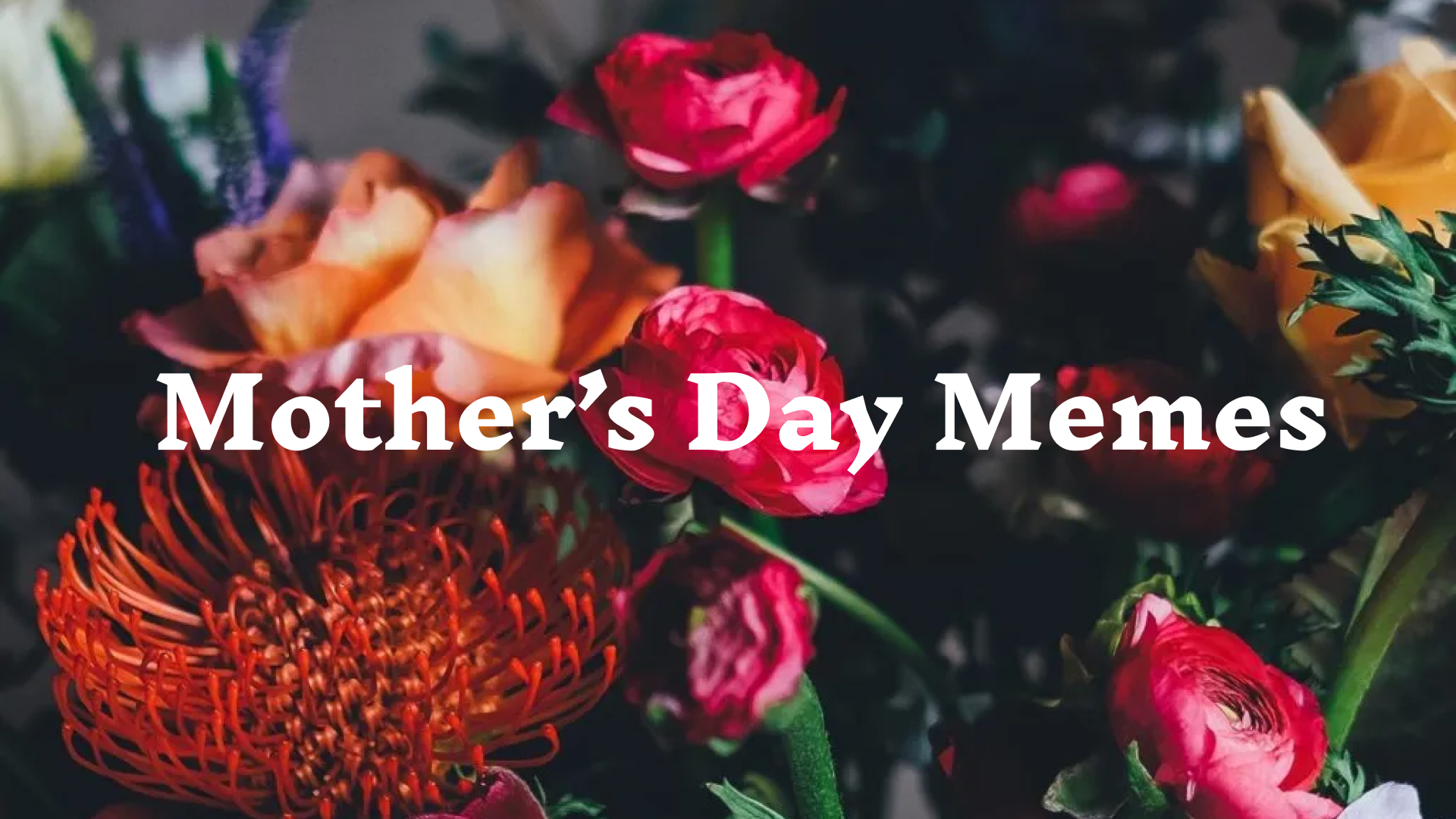 Explore 10 Sites to Find Mother's Day Memes Special for Her