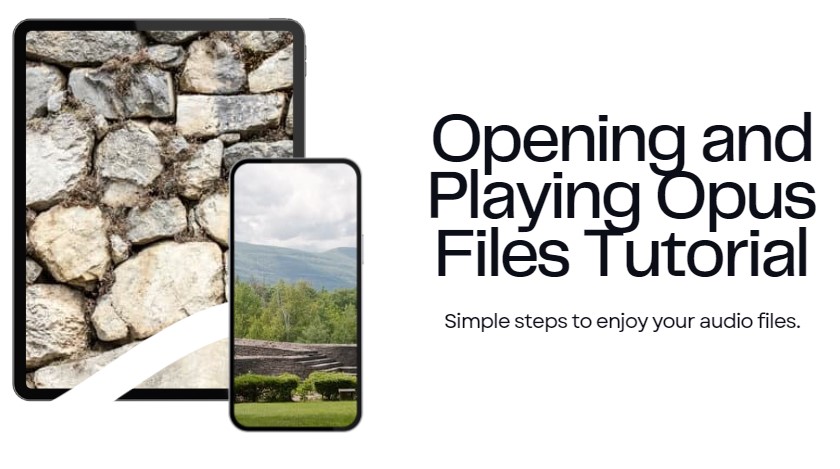 How to Open and Play Opus Files? The Ultimate Guide