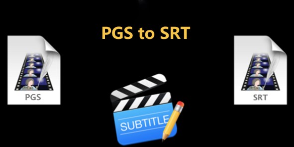 What is the Difference between PGS and SRT Subtitle Files?