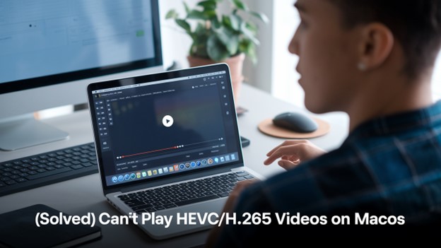 How to Fix Can't Play HEVC Videos on Mac