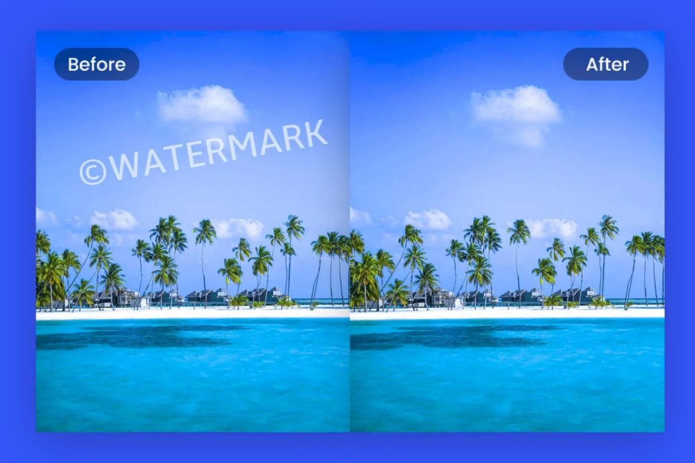 5 Ways to Dispatch How to Remove CanStock Photo Watermark