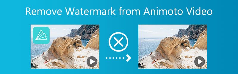 How to Remove Watermark from Animoto Video in 2024