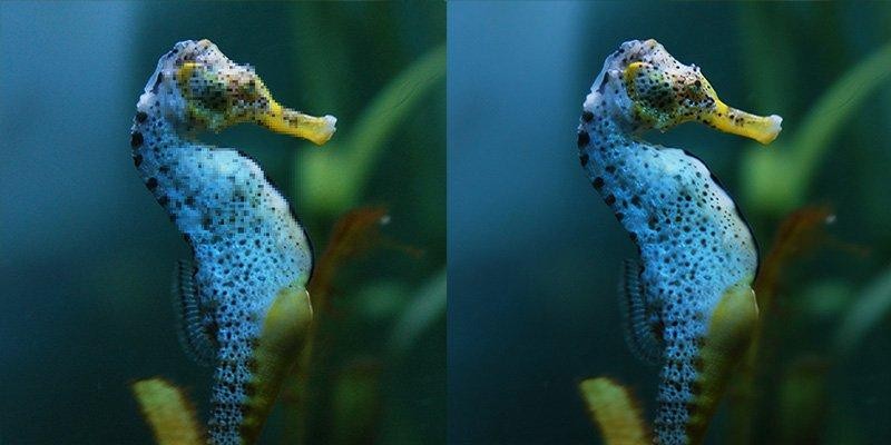 Quick Ways to Remove Compression Artifacts from Images