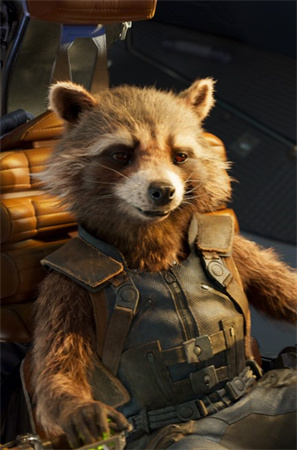 Voix de Rocket Raccoon : L'histoire derrière les films