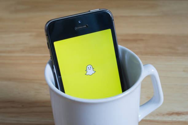 كيفية استخدام عدسة كرتون للوجه على Snapchat وTikTok