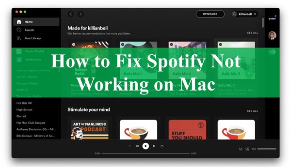 How to Fix Spotify not Working on Mac