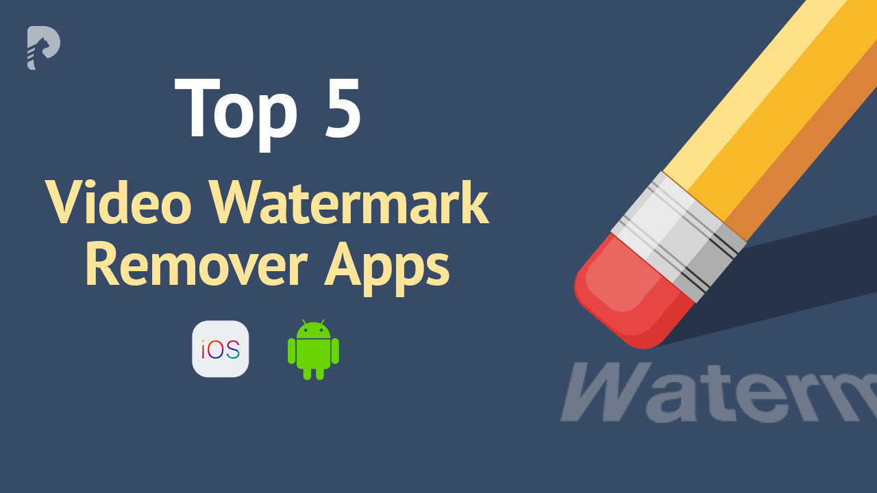 Miglior TikTok Watermark Remover - tutorial video