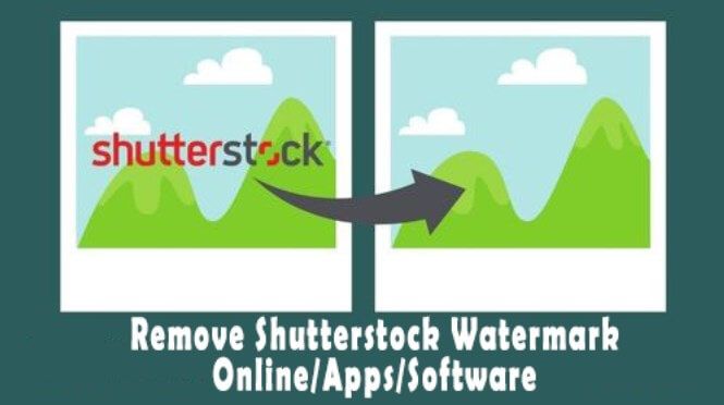 Top 6 Watermark Deleters You Need to Know in 2024