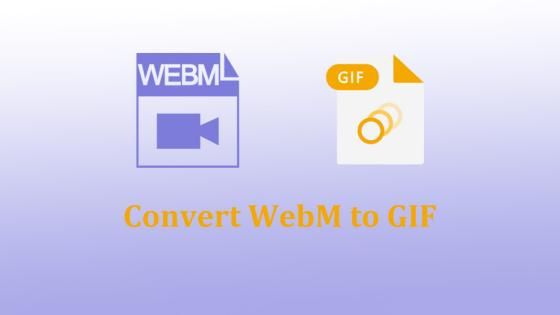 Convert a WebM to Animated GIF with Ease