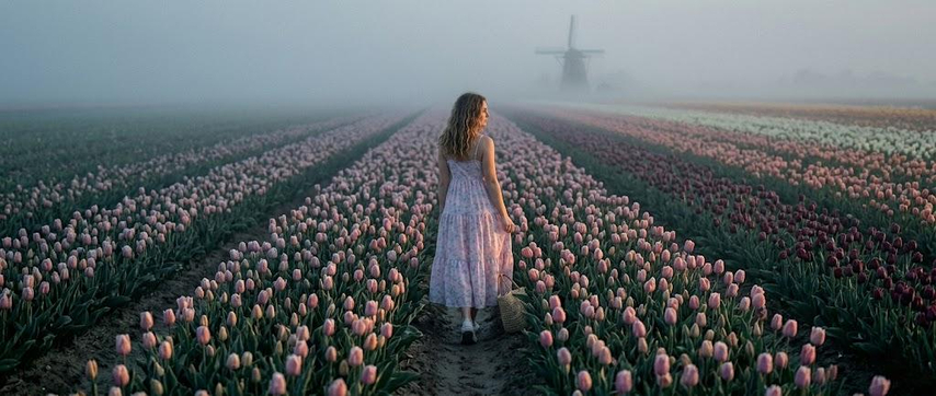 cinematic tulip movie scene generated with gemini ai prompt