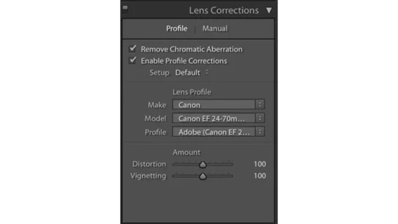 fixing lens distortion around food plate