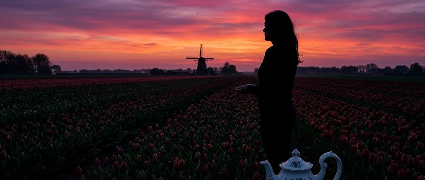 silhouette at sunset tulip field gemini ai generated photo