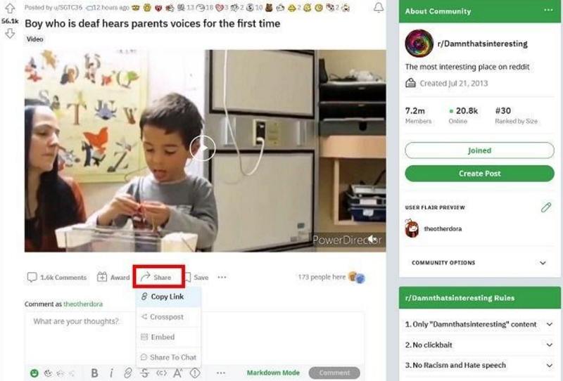 cop reddit video link