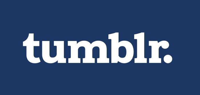 5 méthodes éprouvées pour télécharger vidéos Tumblr en 2024