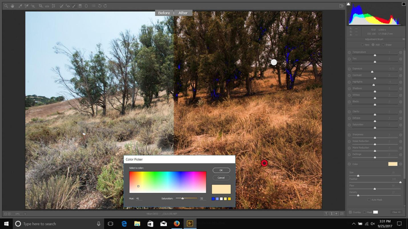 using camera raw filter for color editing