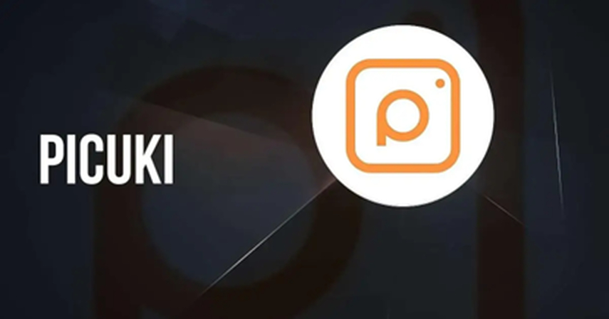 picuki alternative