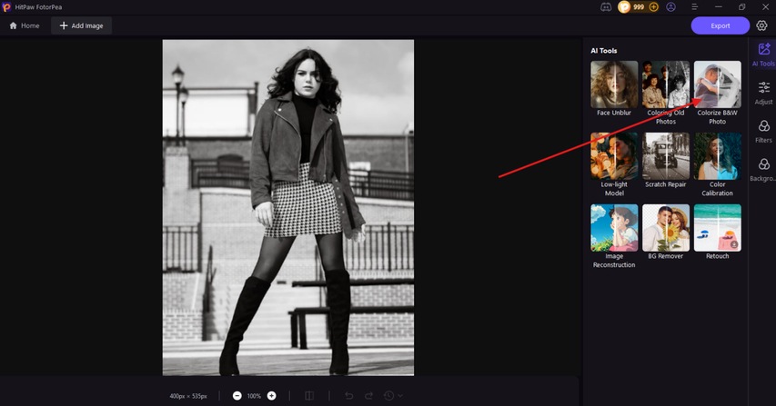 Application du modèle de coloration HitPaw FotorPea