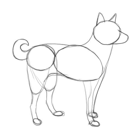 dog drawing sketch
