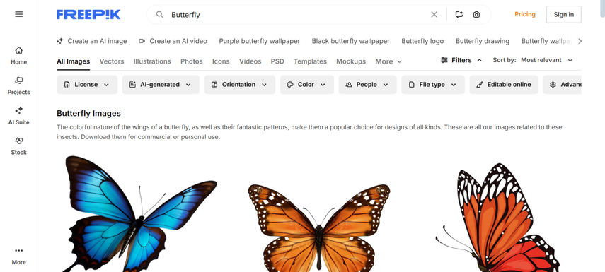 butterflies drawings