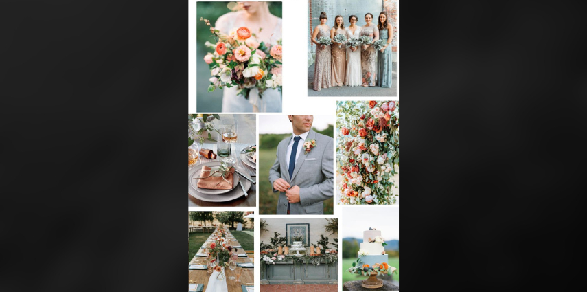 color palette generator wedding peach and sage