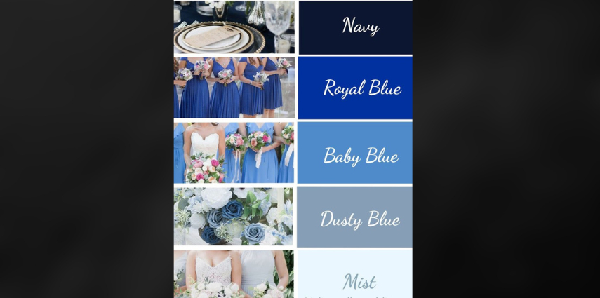 color palette generator wedding shades of blue