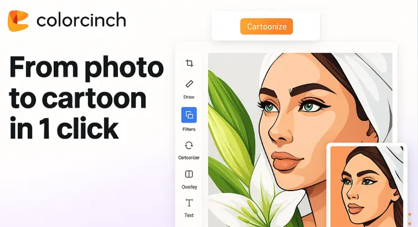 colorcinch review