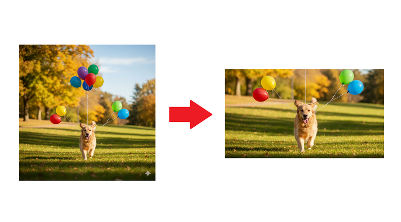cropping to landscape after generation