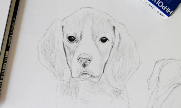 cute dog pencil drawing