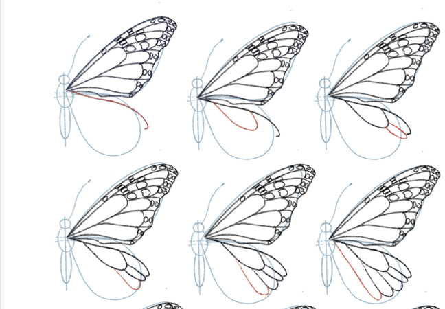 easy butterfly drawing