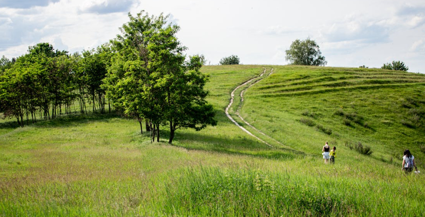 Enjoy nature on the first day of summer