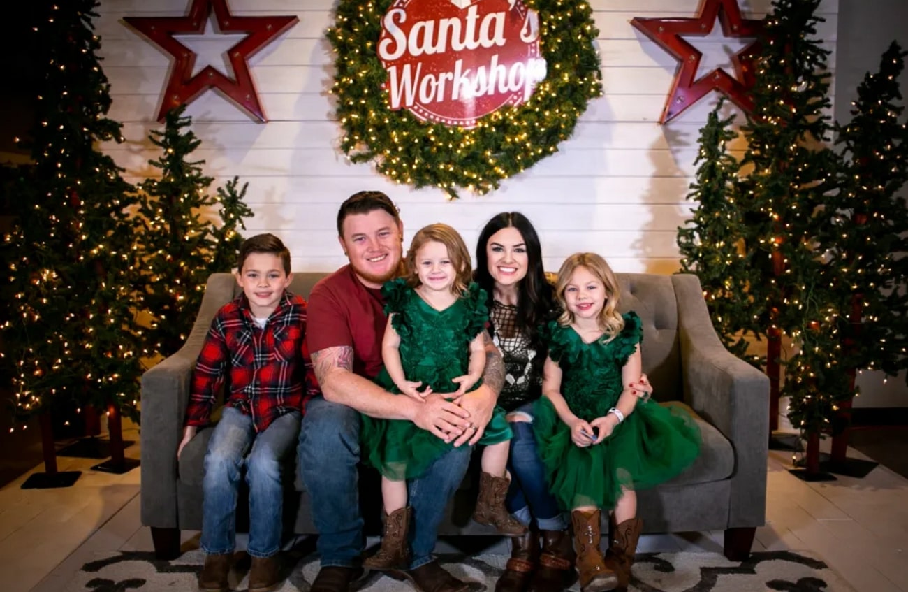 backdrop for family christmas image