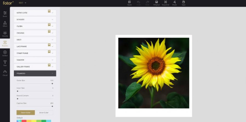 fotor polaroid filter online