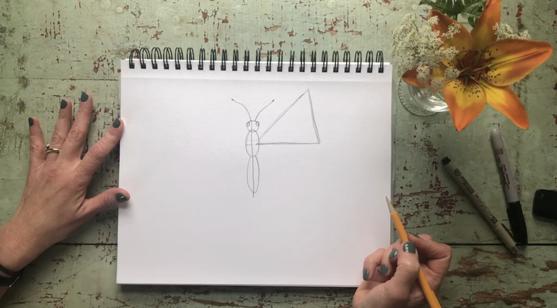 how to draw a butterfly