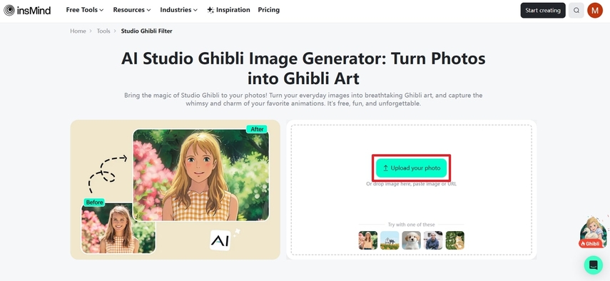 access studio generator of insmind