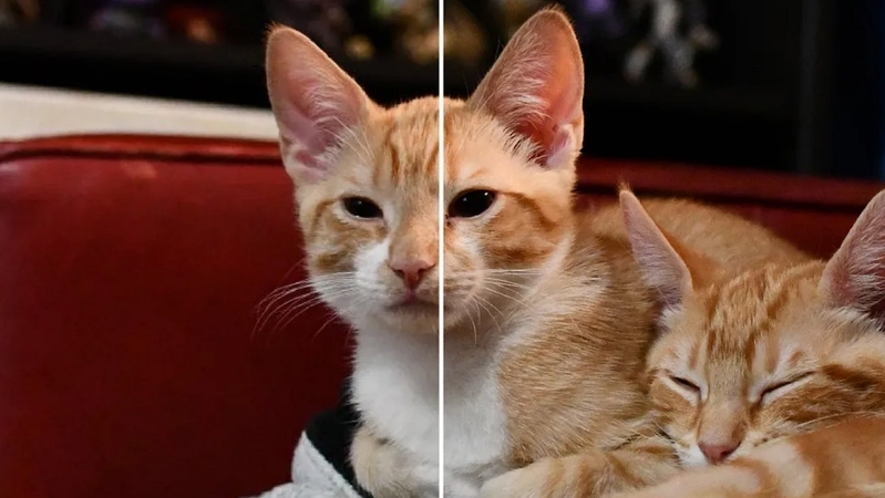 introduction to images compression on x twitter