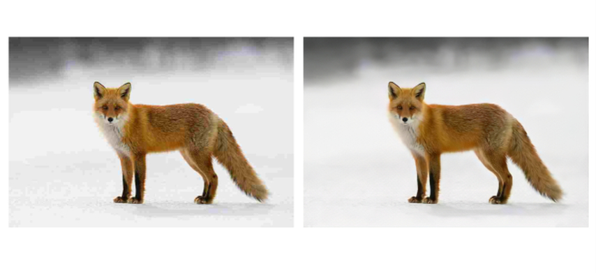 impact of jpg artefacts on photos