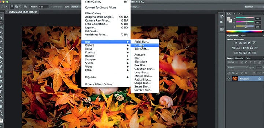 Macのプレビューで背景をぼかす