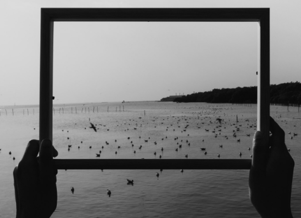 negative space photography in frame with birds flying
